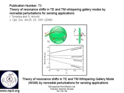 Whispering Gallery Mode Biosensor 016.JPG